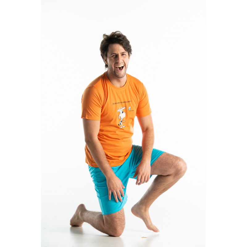 Pyjama vache homme online
